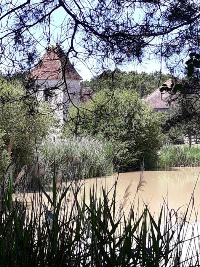 Le Manoir De Pierre Levee, The Originals Collection Hotel Tournon-Saint-Martin Eksteriør billede