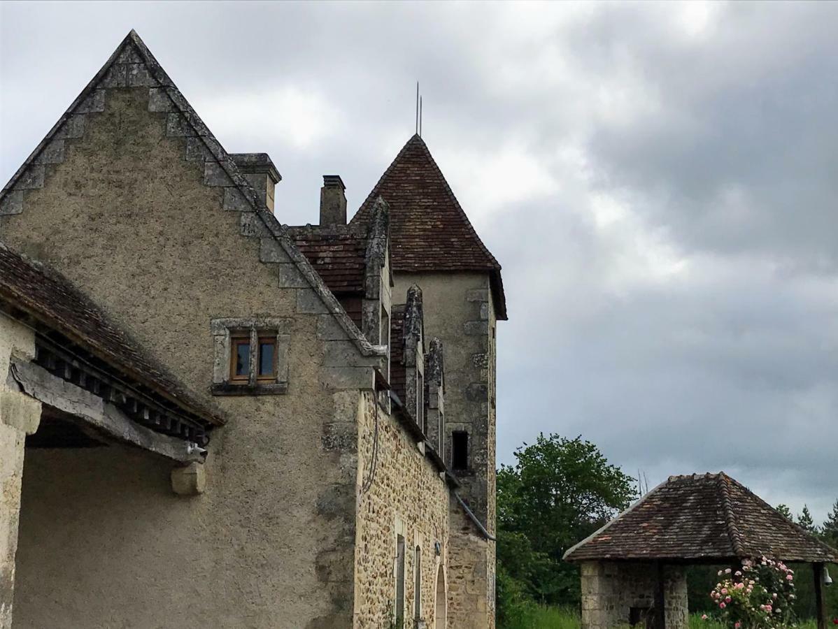 Le Manoir De Pierre Levee, The Originals Collection Hotel Tournon-Saint-Martin Eksteriør billede