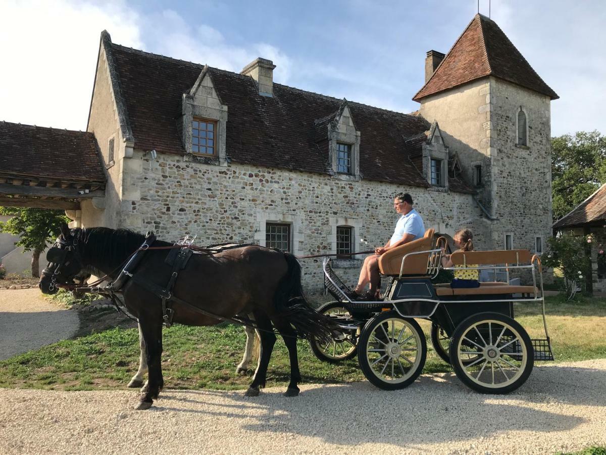 Le Manoir De Pierre Levee, The Originals Collection Hotel Tournon-Saint-Martin Eksteriør billede
